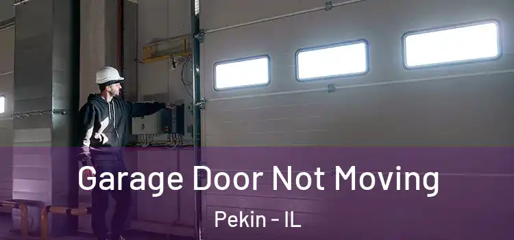  Garage Door Not Moving Pekin - IL