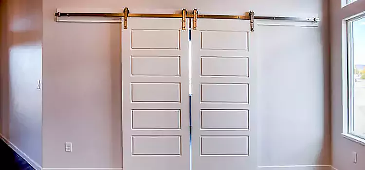 Glass Barn Door with Installation Hardware Kit Pekin