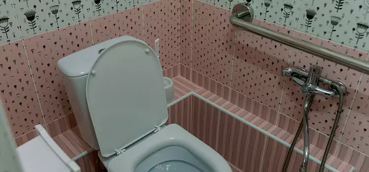 Meeting Diverse Needs With Accessible Restroom Solutions in Pekin, IL