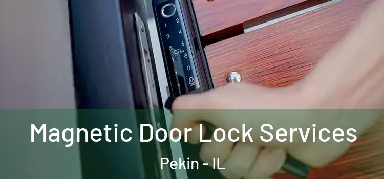 Magnetic Door Lock Services Pekin - IL