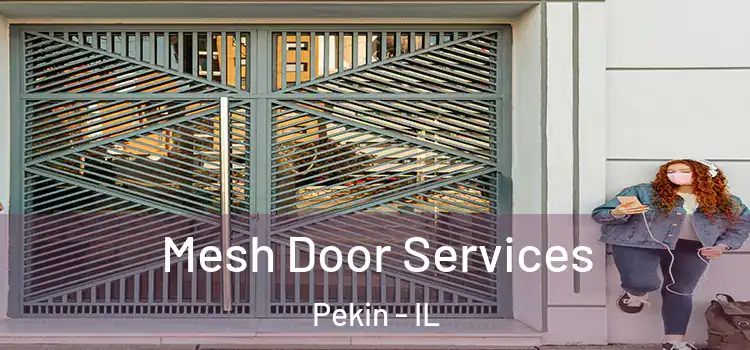 Mesh Door Services Pekin - IL