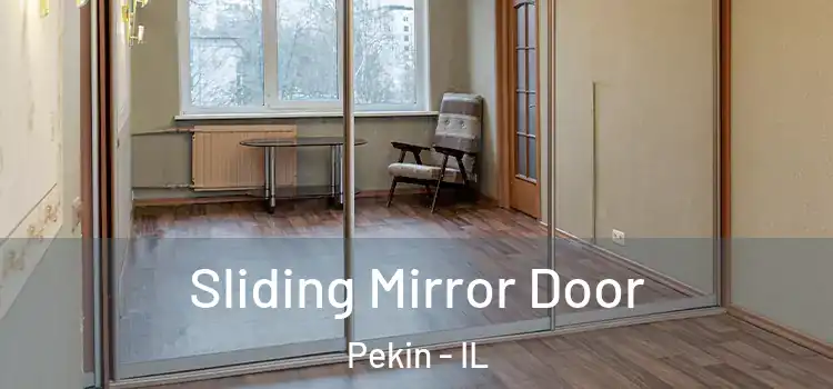  Sliding Mirror Door Pekin - IL